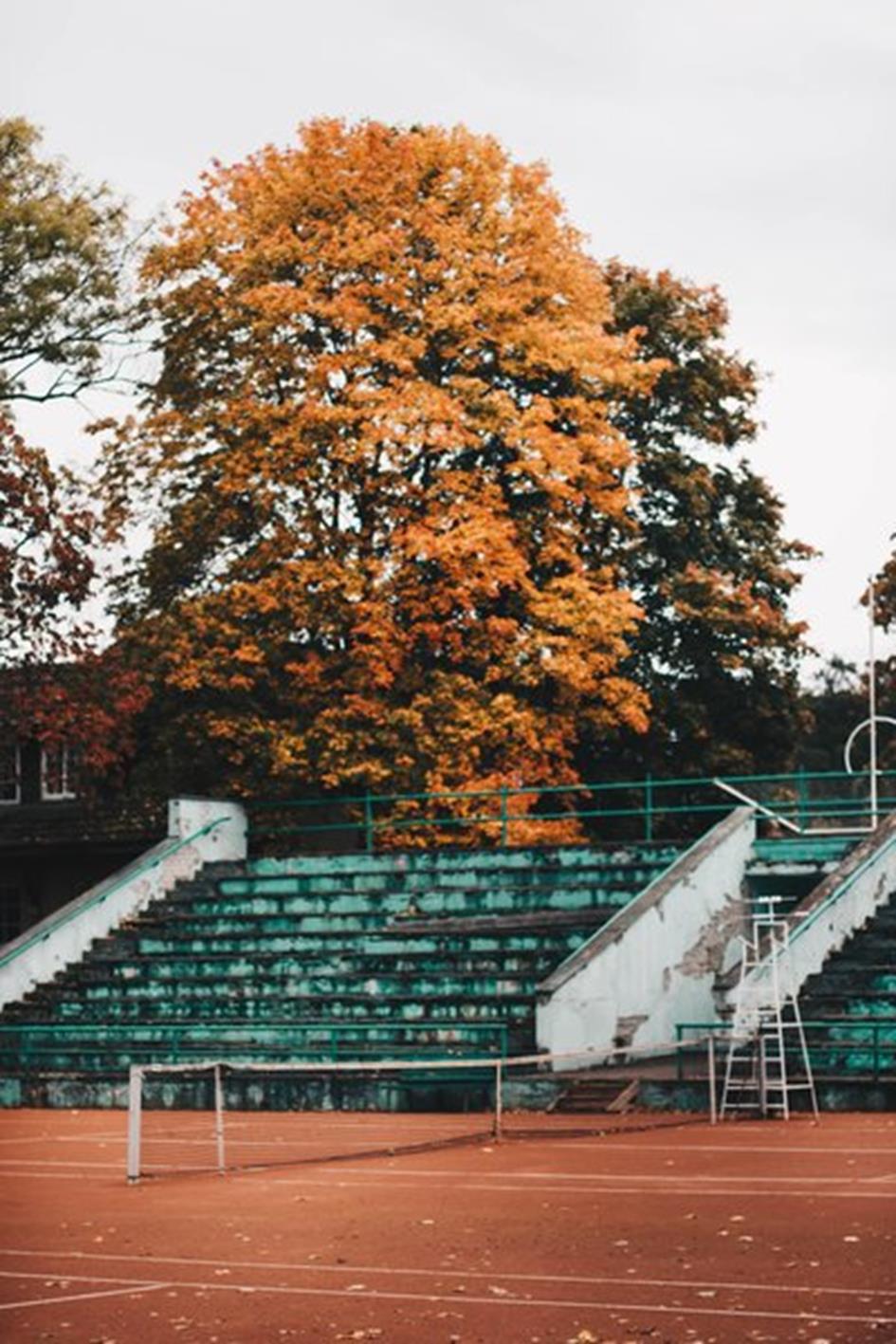 rsz_1abandoned-architecture-bench-704792-min.jpg