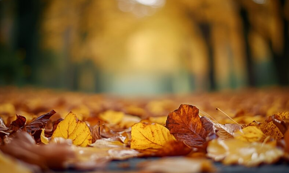 herfst.png