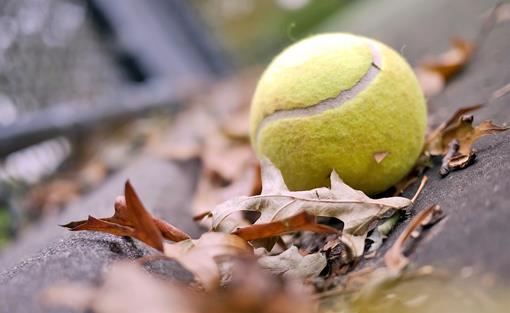 herfst.jpg