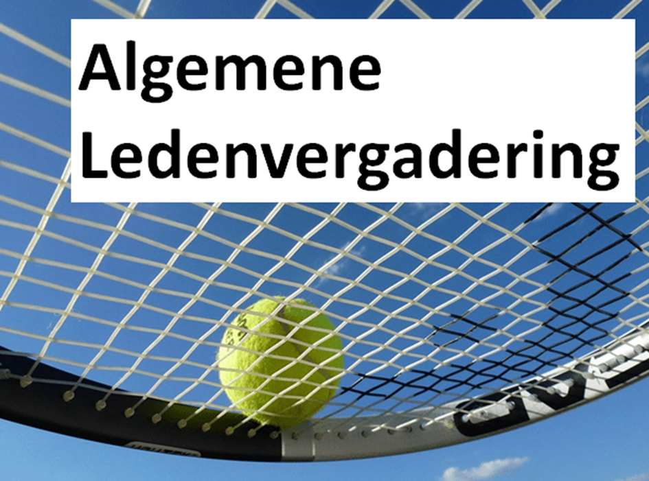 Algemene-ledenvergadering-foto.png