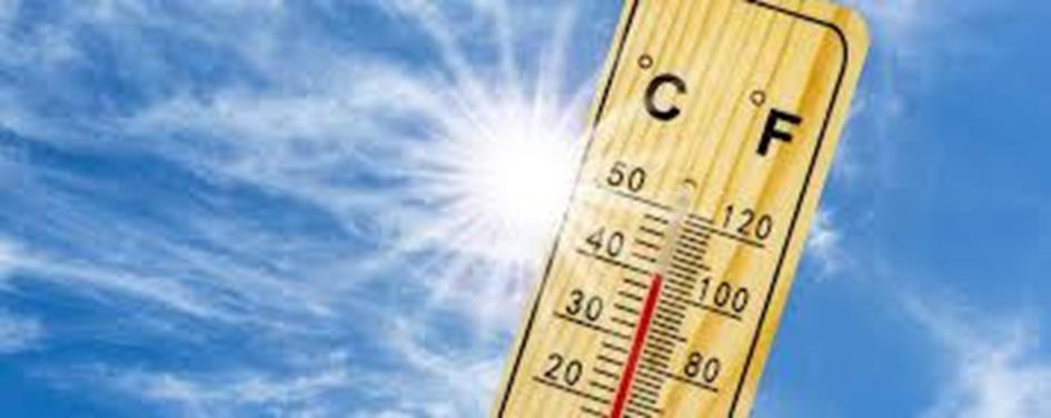 Thermometer.jpg