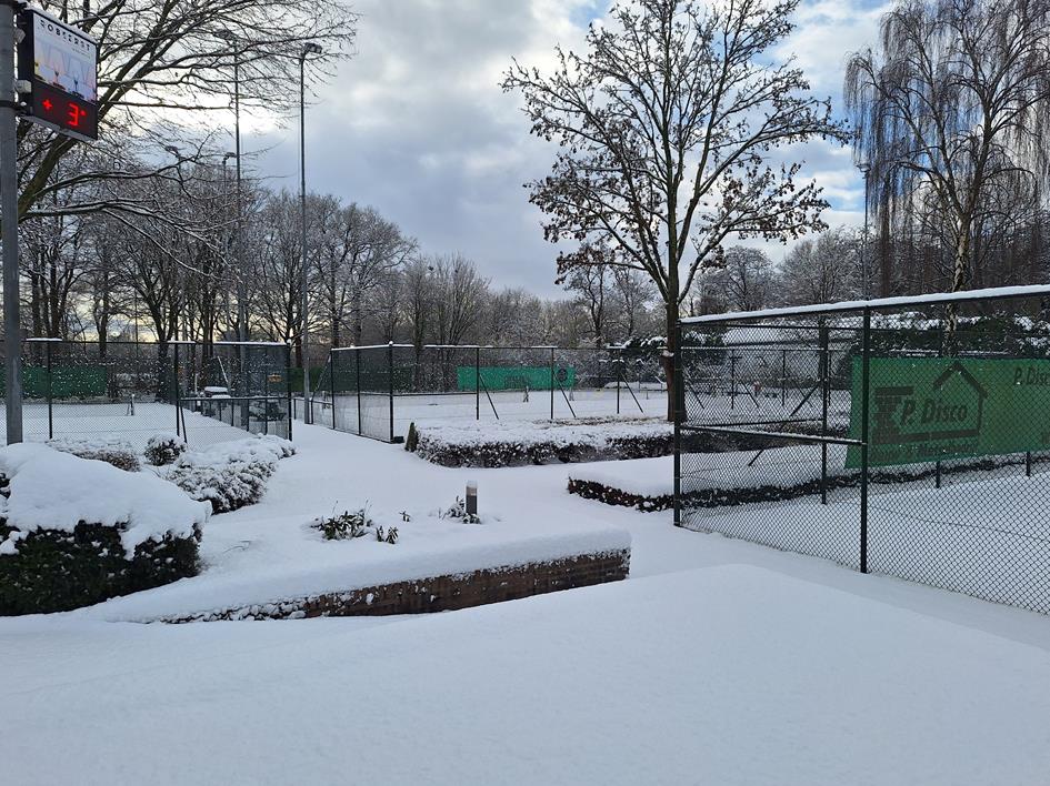 Sneeuw 3.jpg