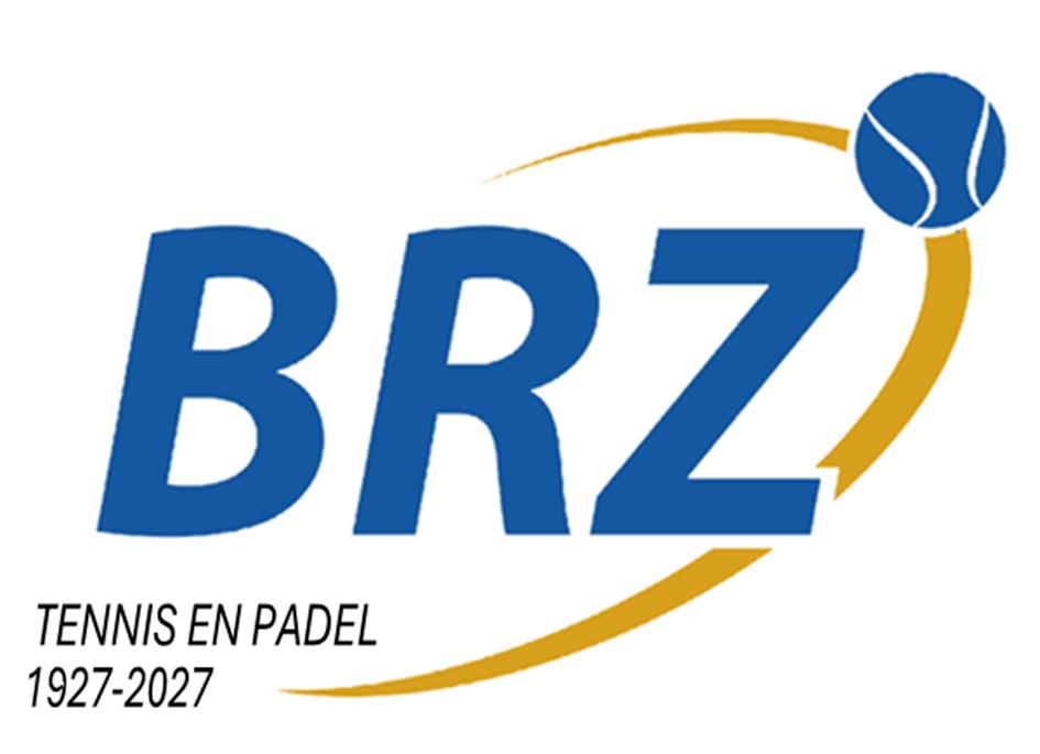 brz logo.png