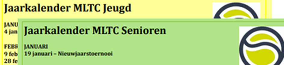 2025-05-18 14_59_18-ClubAgendaLijst.xlsx - Excel.png