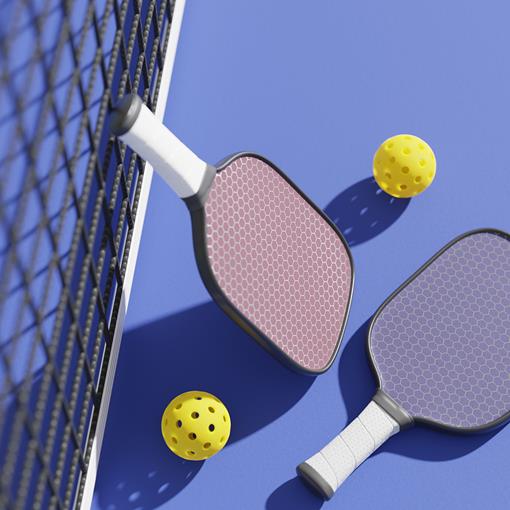 pickleball 2.jpg