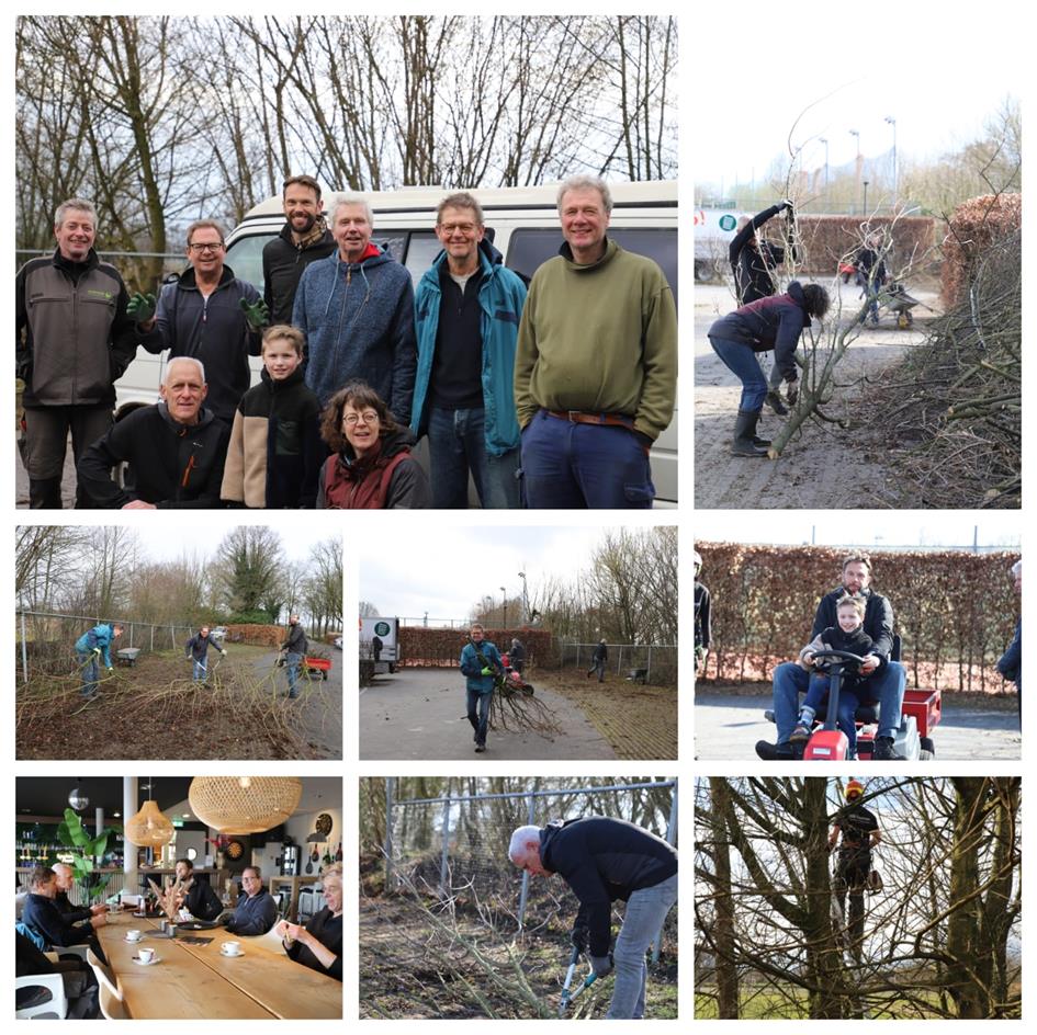 Keltenwoud-Nieuwsflits-2025-#07-2-Houtwal-foto-RianneBogers.jpg