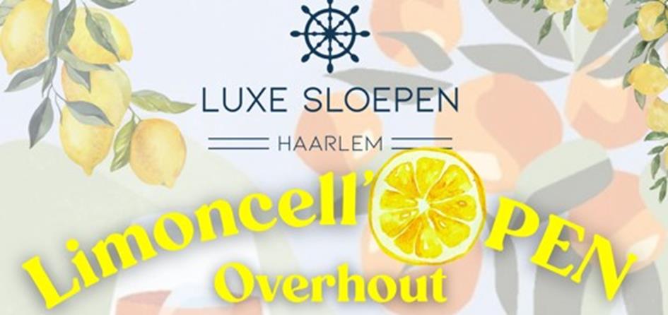 Banner Overhout open 2025.jpg