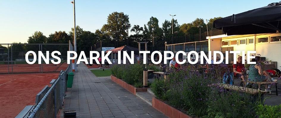 park topconditie.jpg
