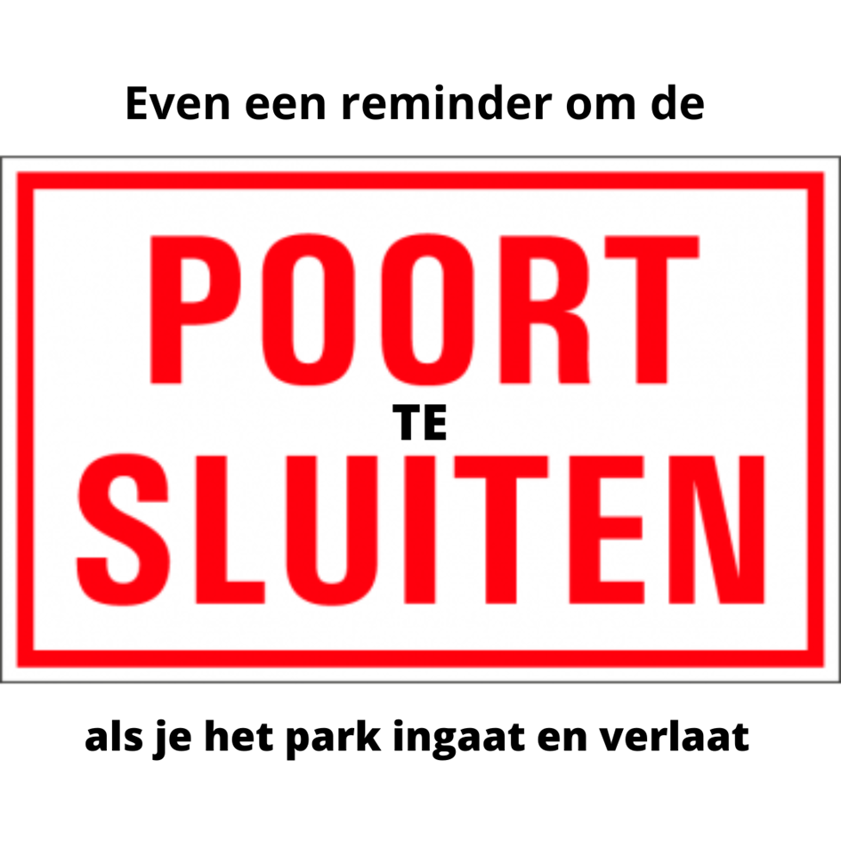 Platte tekst toevoegen.png