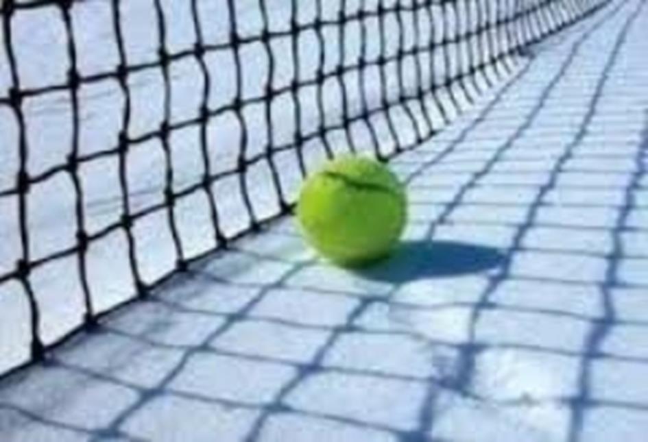 538_tennisbal_in_de_sneeuw_1.jpg