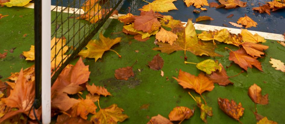 nieuwsbericht Ntv.png