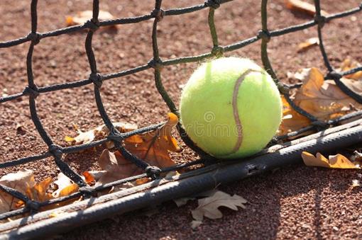 tennisbal-op-de-hof-en-herfstbladeren-129728757.jpg