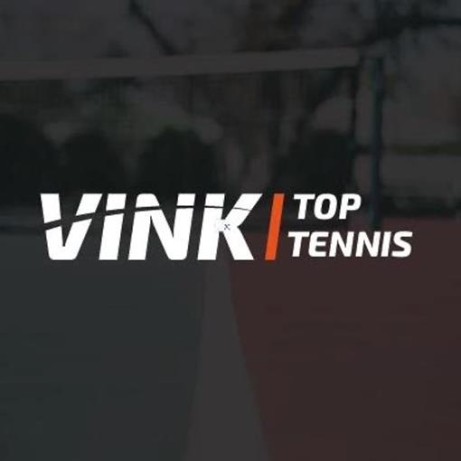 Logo Vink.jpg