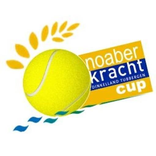 Noaberkrachtcub logo.jpg