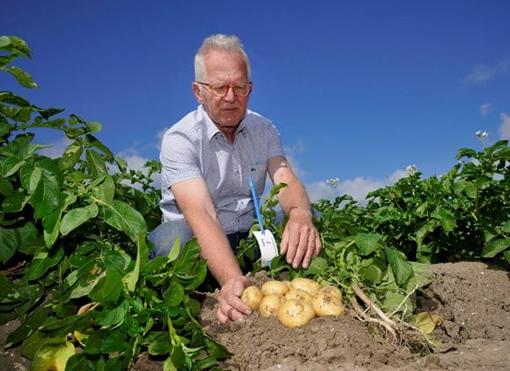 Peter van Eerdt.jpg