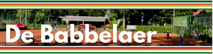 De Babbelaer.png