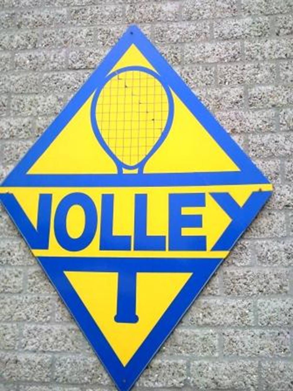 EmbleemVolleyMuurWeb.jpg