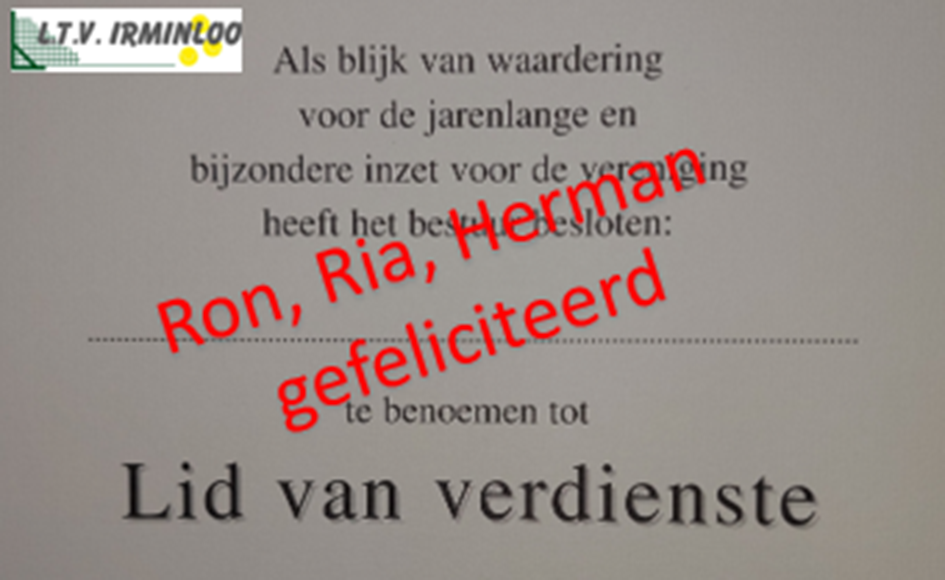 Lid Verdienste Website.png
