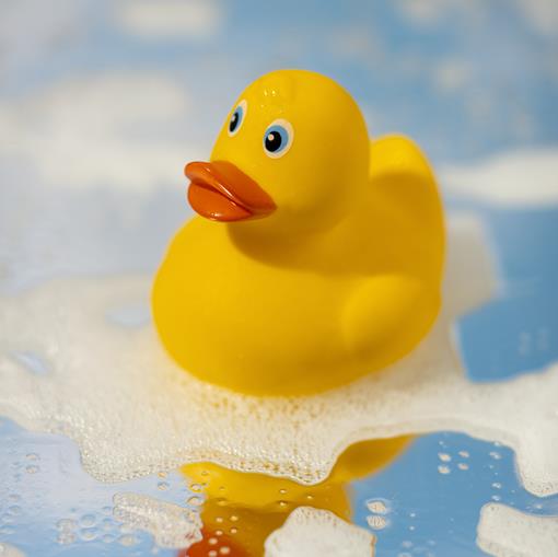 cute-rubber-duck-still-life (1).jpg