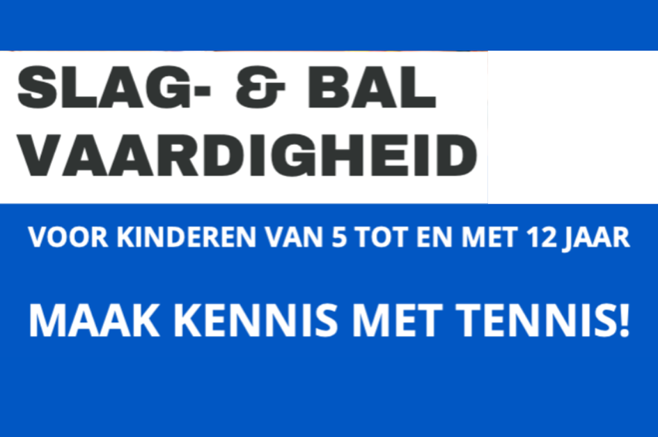 Slag en balvaardigheid.png