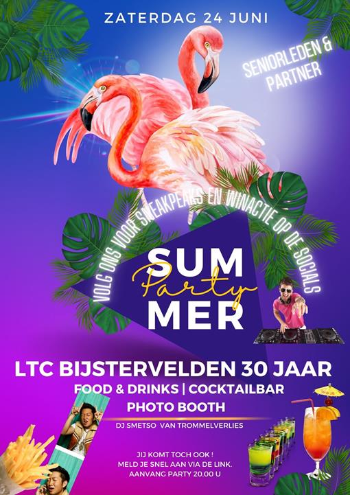 Blue Modern Colorful With Flamingo Summer Flyer.jpg