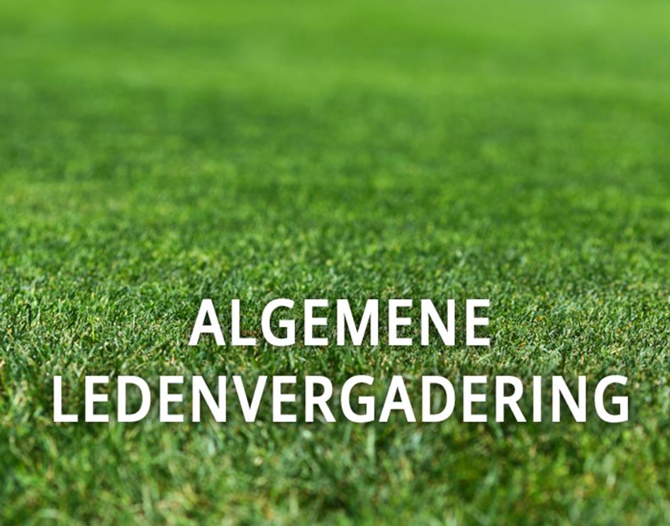 algemene-ledenvergadering.jpg