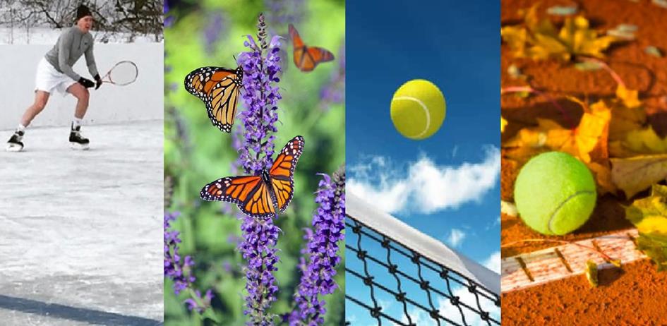 Tennis 4 seizoenen.jpg