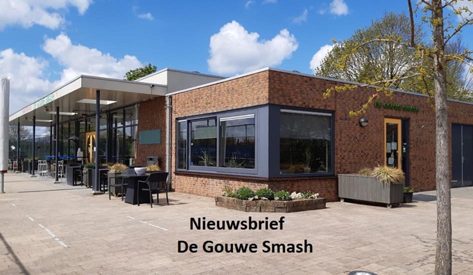 nieuwsbrief dgs.jpg