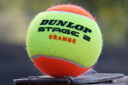 tennisbal-dunlop-oranje-geel_49213164072_o.jpg