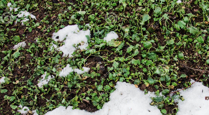 Screenshot 2026-01-13 at 15.25.18.png