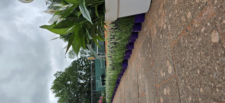 20250705_154559.jpg