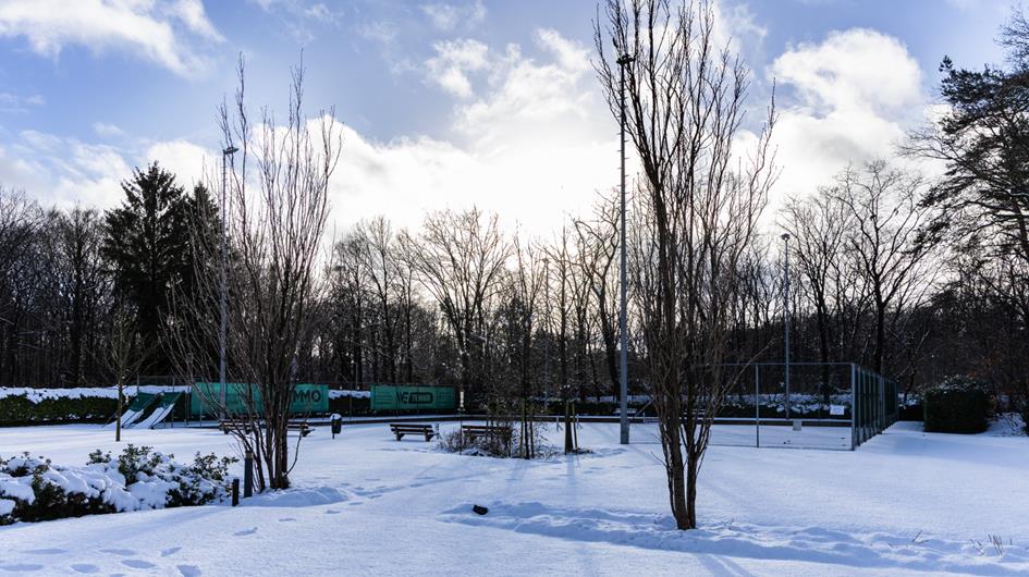 WhatsApp Image 2026-01-04 at 19.28.07.jpeg