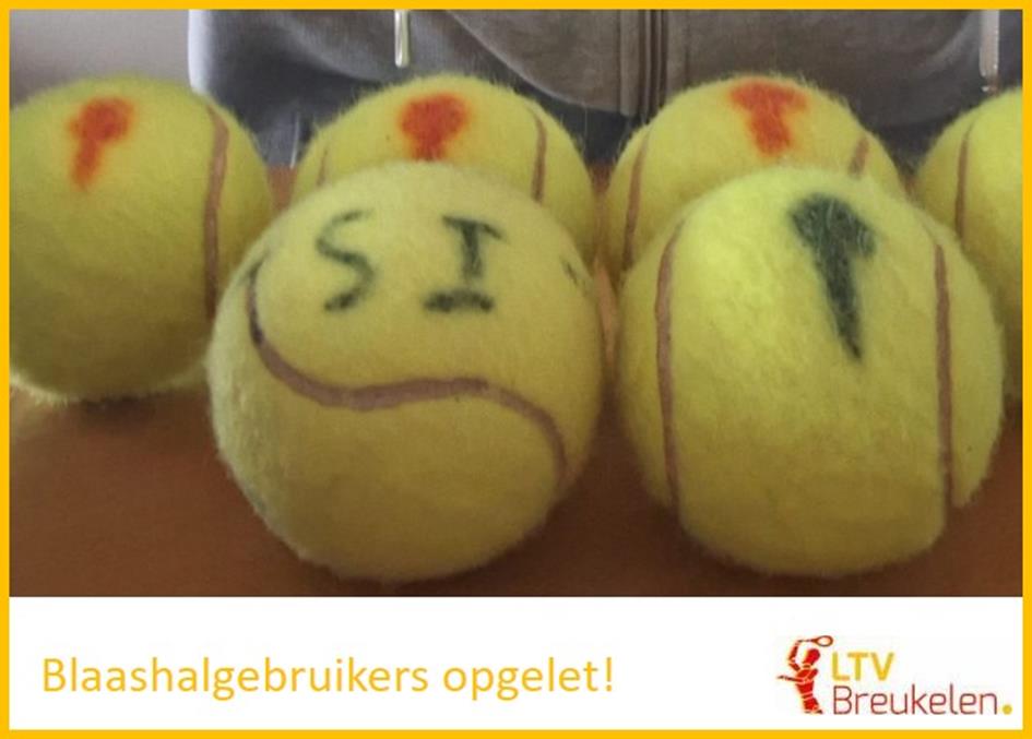 2026-01-04 eigenballen in blaashal.jpg