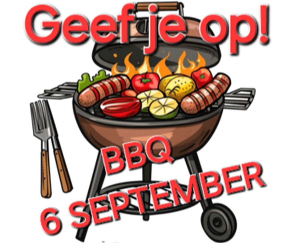 pngtree-summer-barbecue-grill-cartoon-png-image_11969567.png