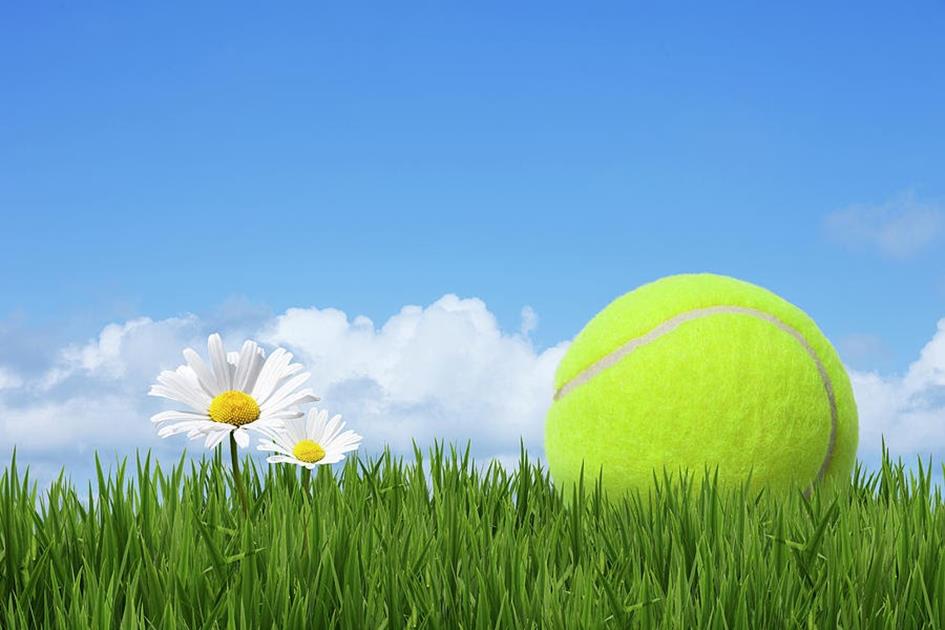 tennis-ball-andrew-dernie.jpg