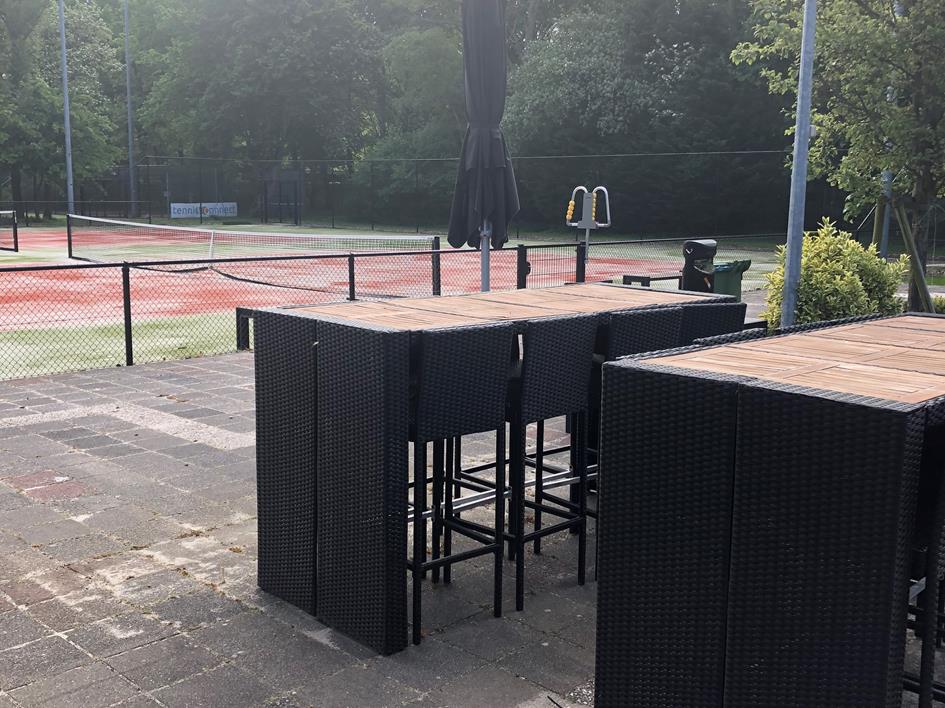 Bartafels liggend.jpg