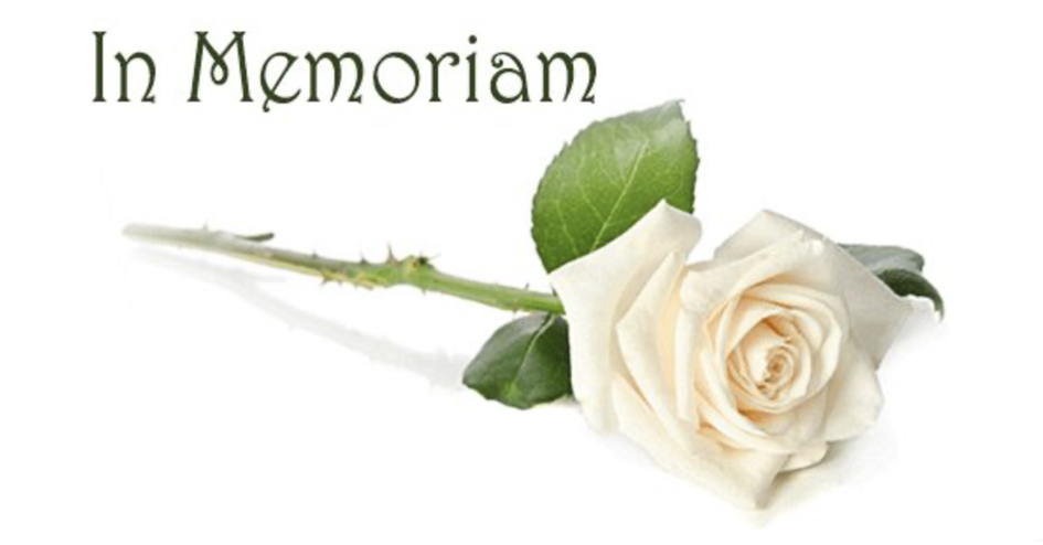 Schermafbeelding 2026-01-19 om 20.16.52.png