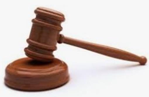 hamer vergadering.jpg