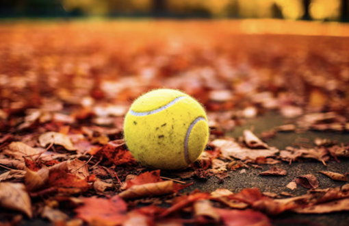 foto met herfst-bladeren en tennisbal.png