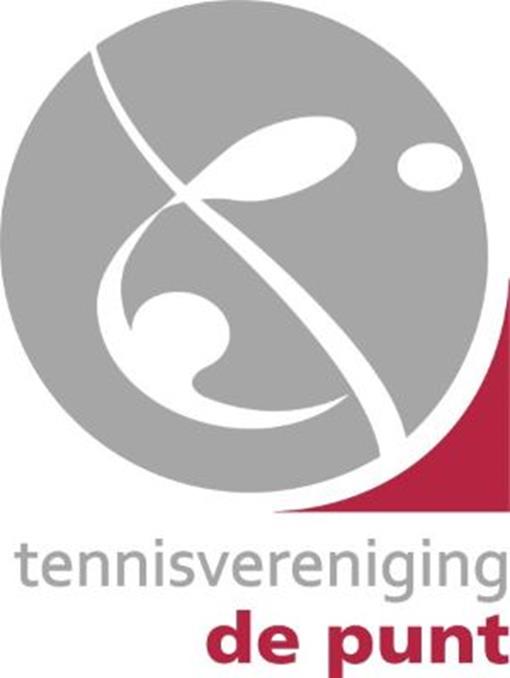 Logo TV de Punt 300x400pxl.jpg