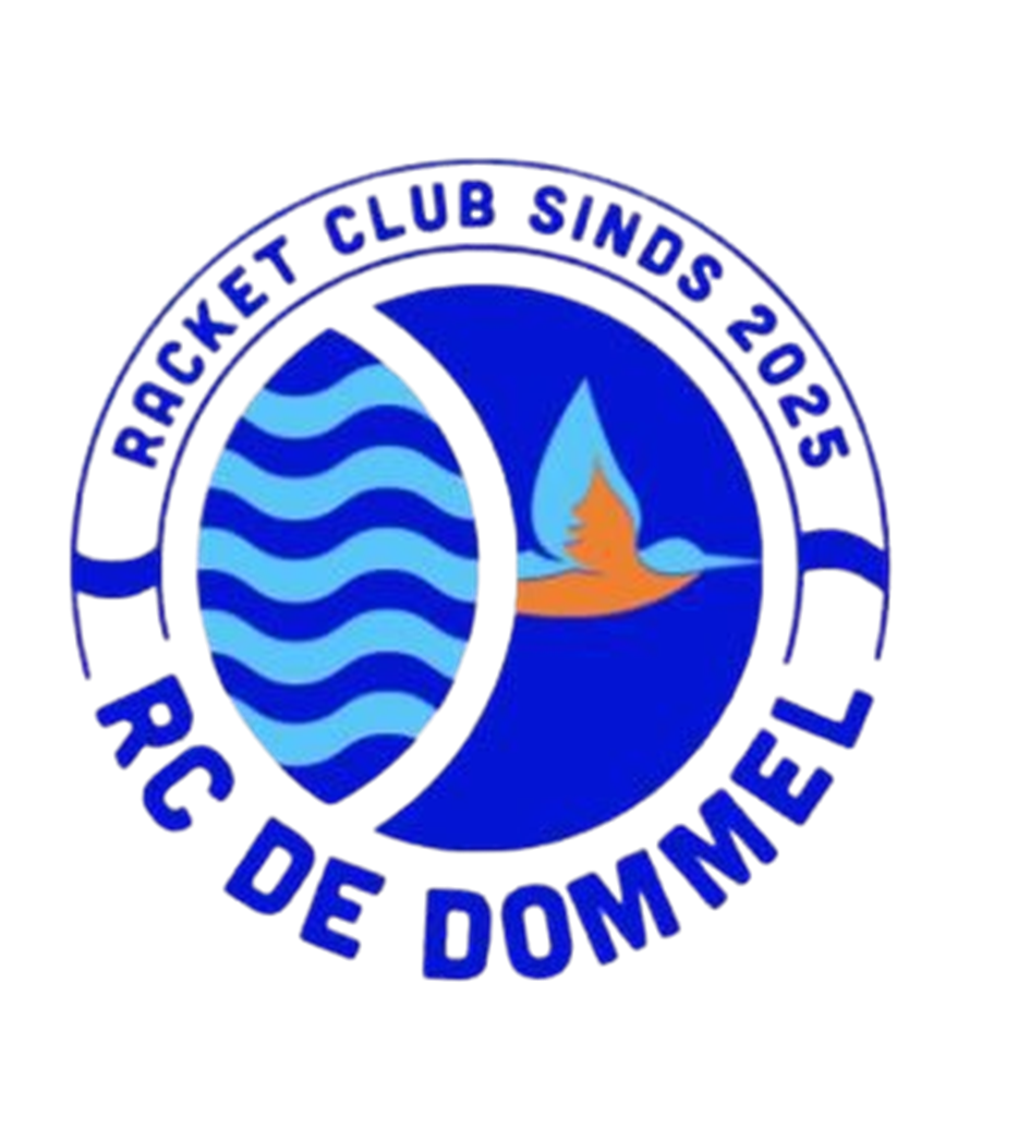 Logo RC de Dommel.png