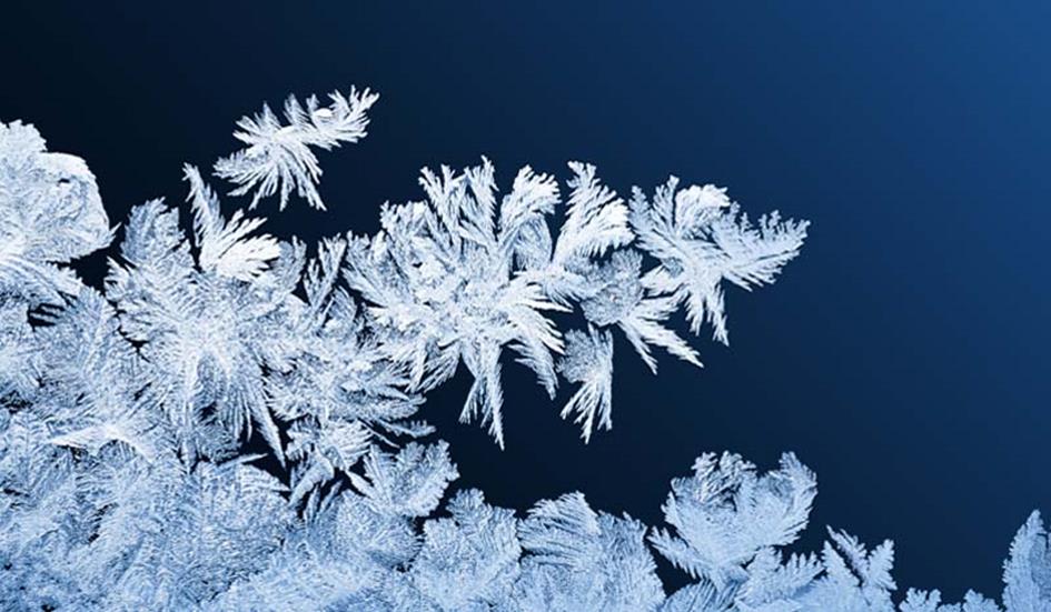 frost-patterns-on-windows-nieuws.jpg