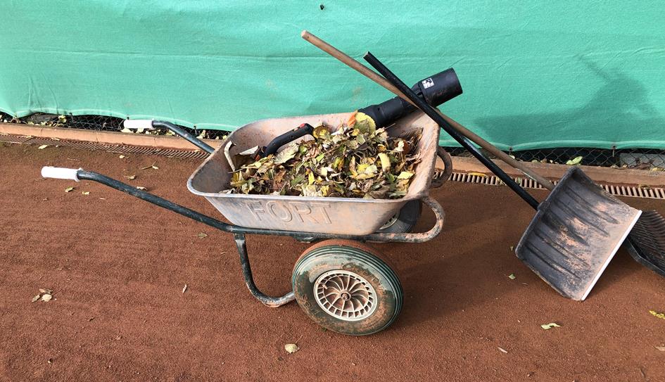 Herfstblad 251031.jpg