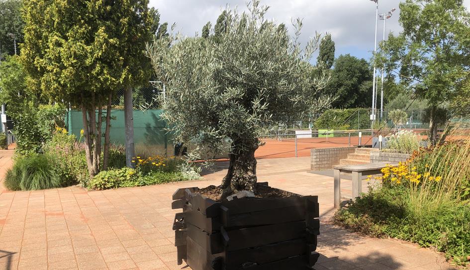 Tuindienst nieuws.jpg