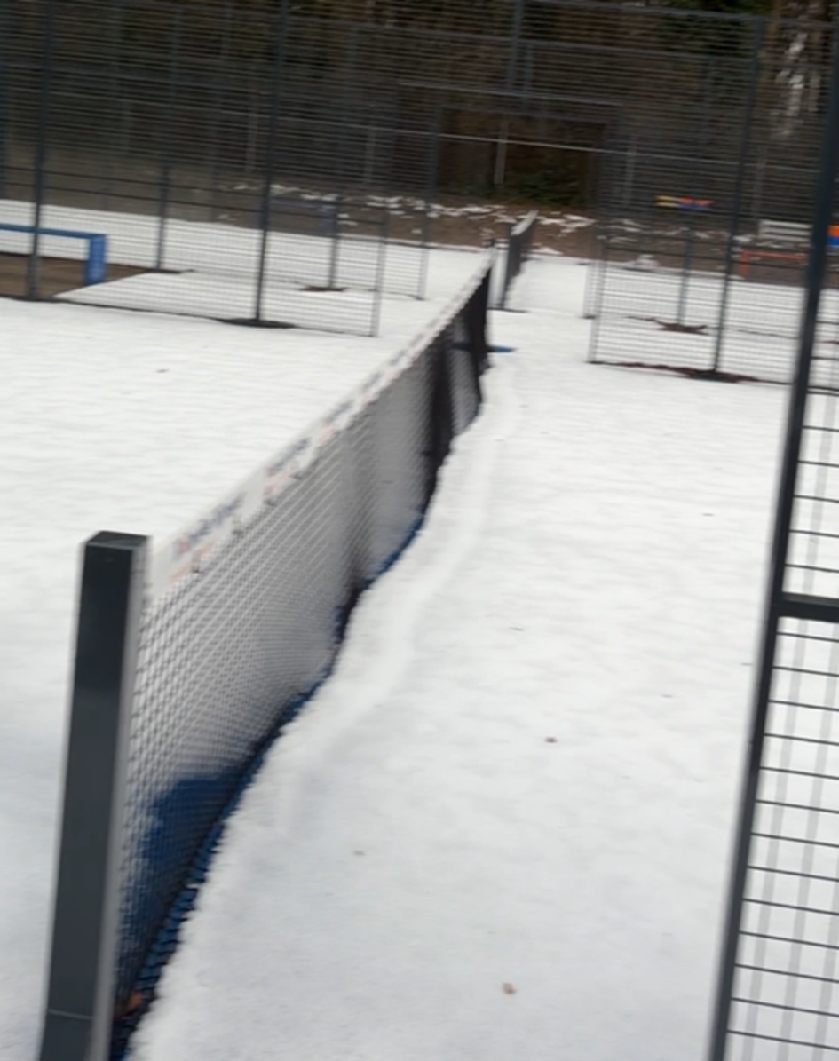 padel sneeuw 20250112.png