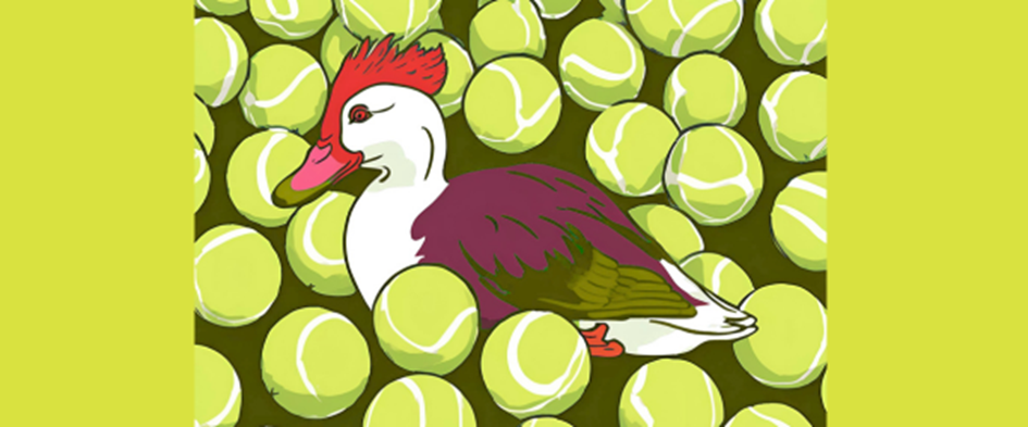 eendtennis.png
