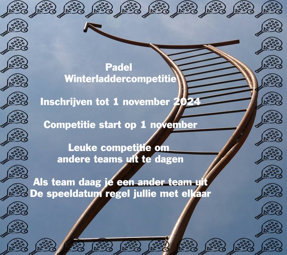 Laddercompetitie Padel.png