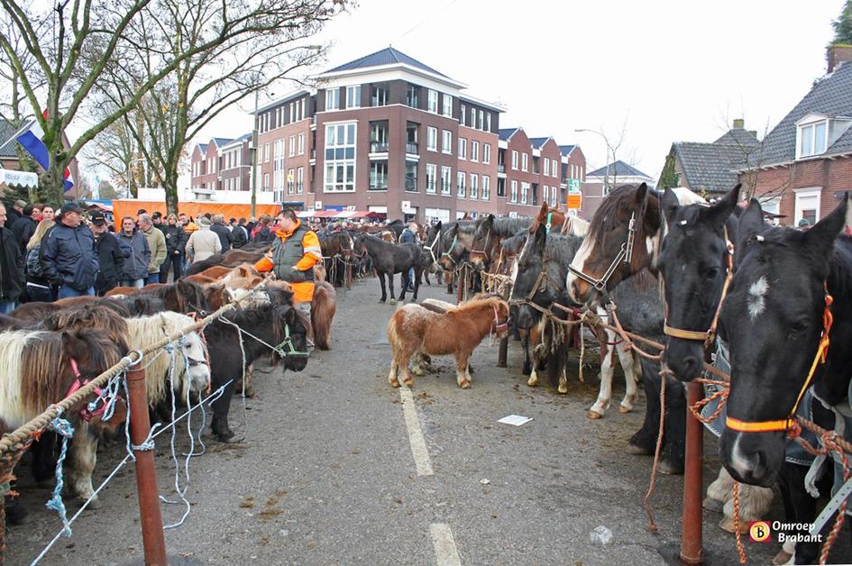 paardenmarkt.jpg