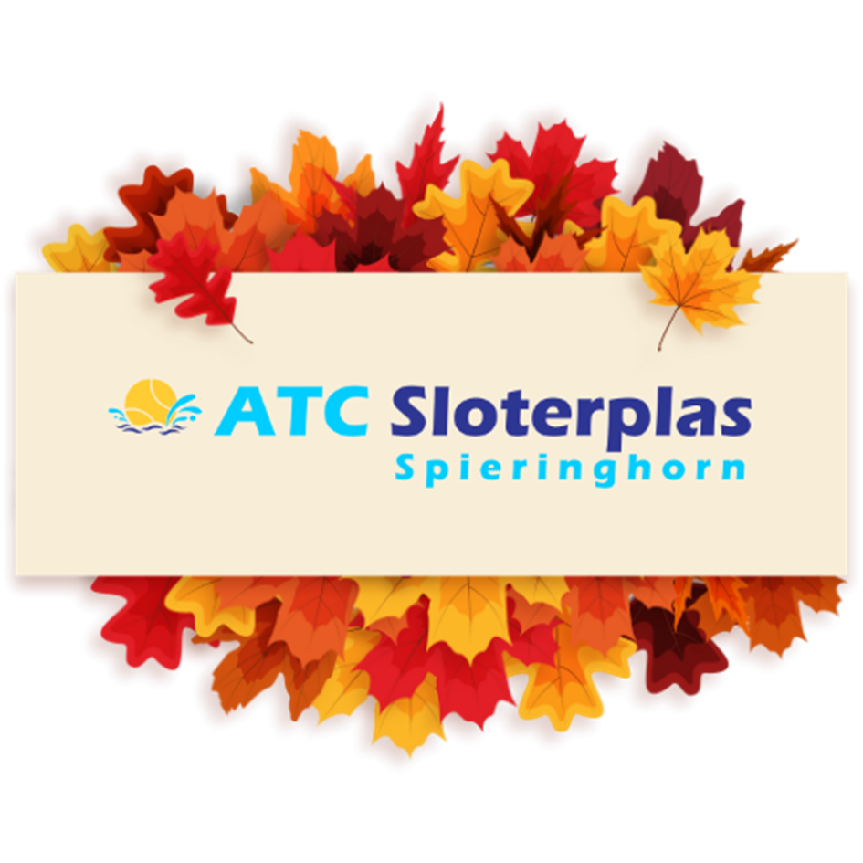 ATC Sloterplas Winter.png