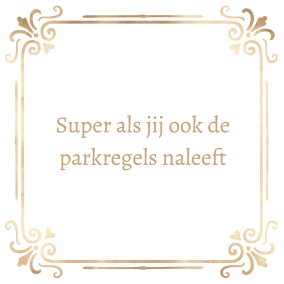 Parkregels naleven.png